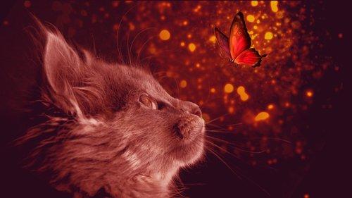 carousel-hero-element image-3